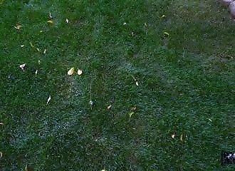 A brunette cleaning lady couldn't control her sexual desire after seeing my big cock